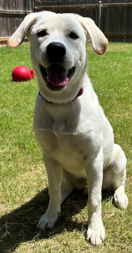 Marley