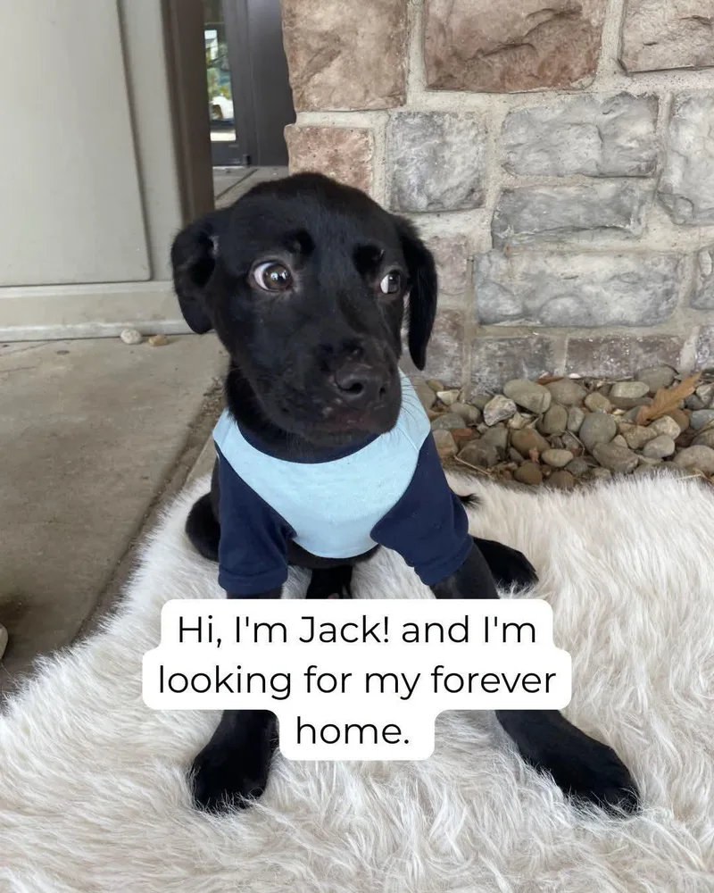 Jack McCoy thumbnail 4
