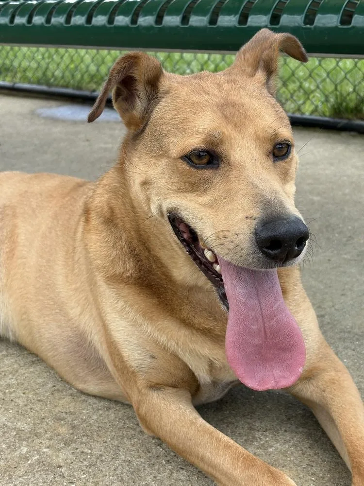 Bentley Cole thumbnail 2