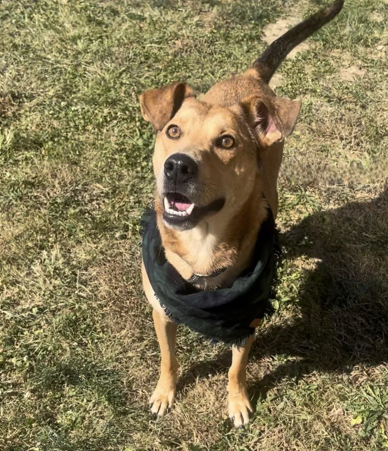 Bentley Cole thumbnail 5