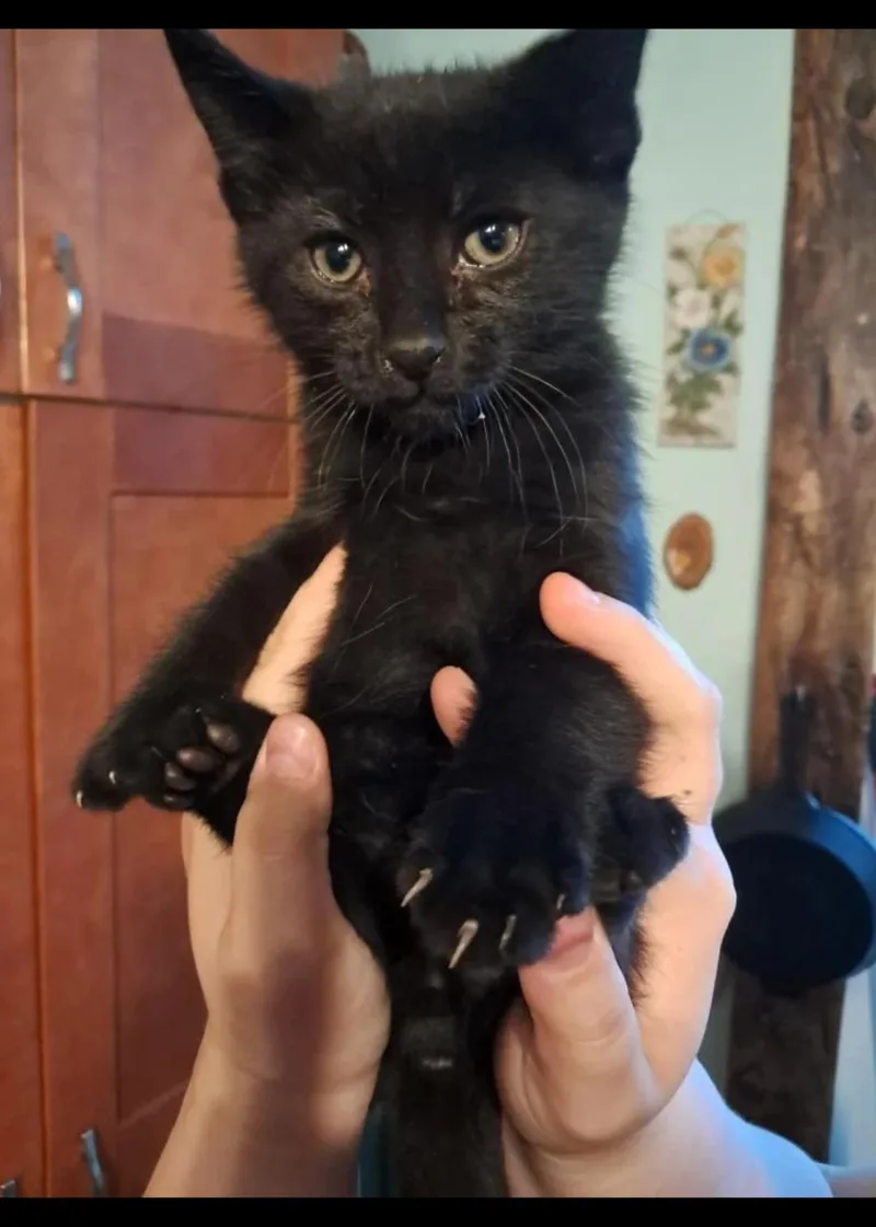 Jack
