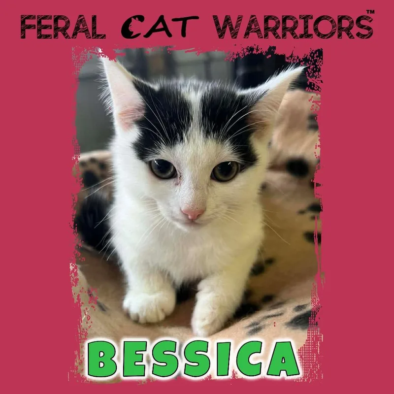 Bessica