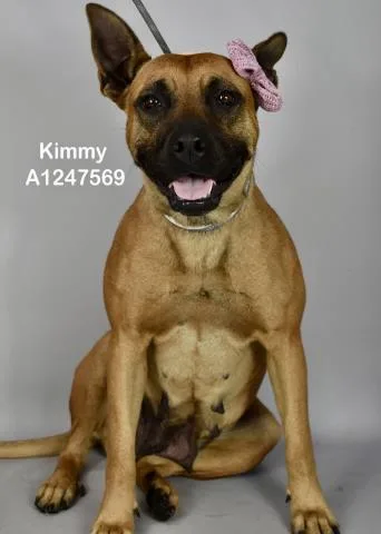 Kimmy Urgent And