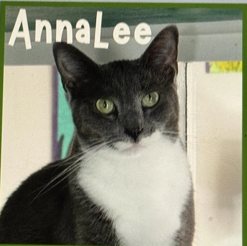 Annalee thumbnail 2