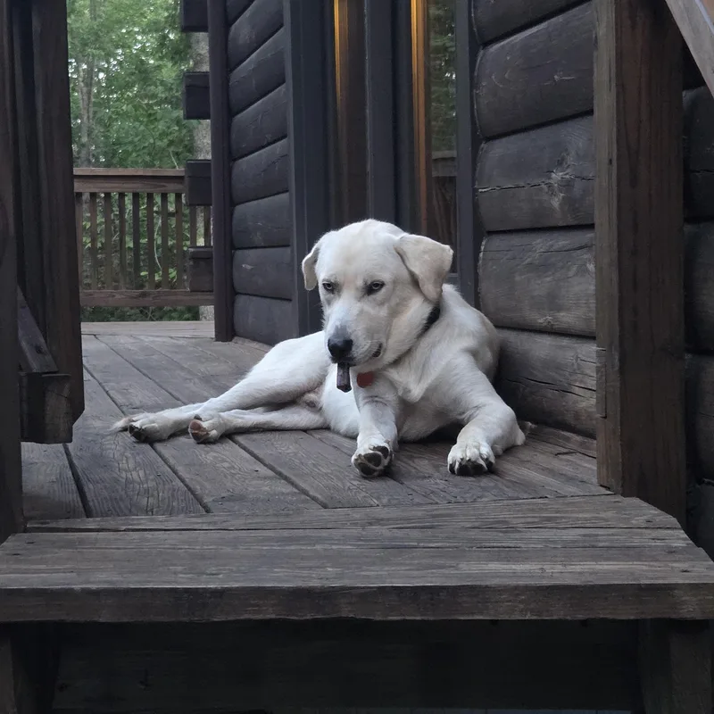 Casper FKA Roscoe thumbnail 5