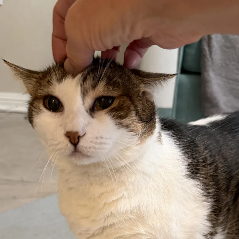 Lola thumbnail 2