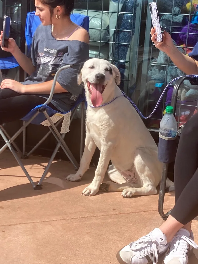 Leo  Leslie And thumbnail 2