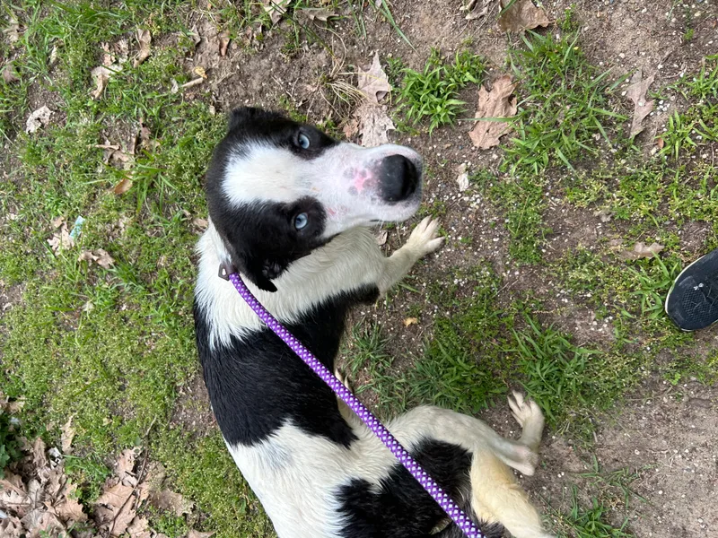 Maverick thumbnail 5