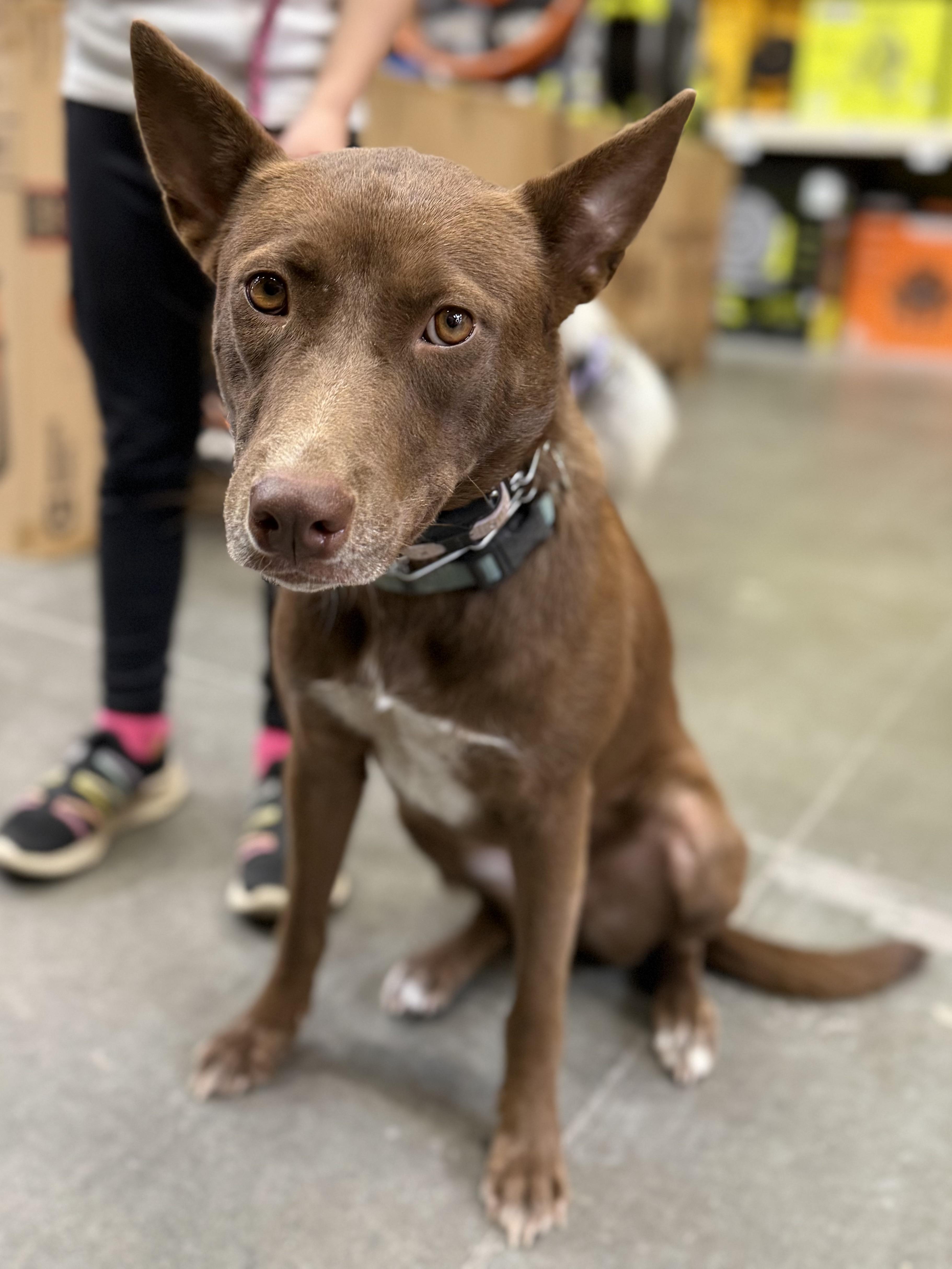 Gertrude "trudy" thumbnail 3