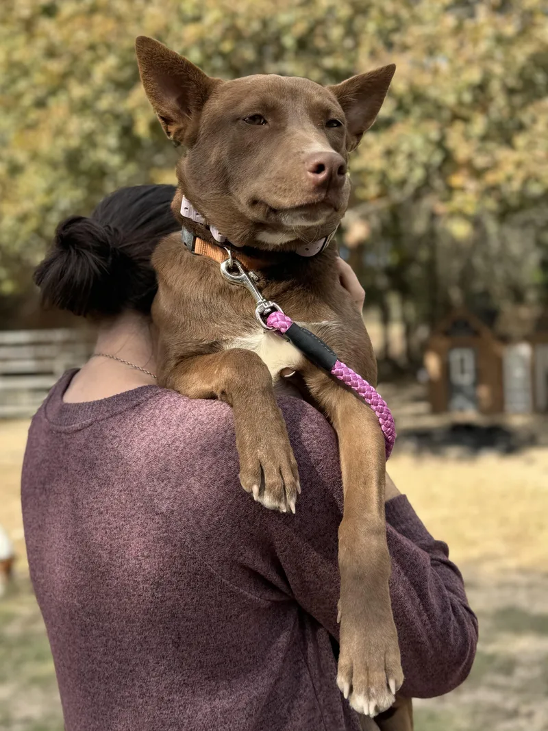 Gertrude "trudy" thumbnail 5