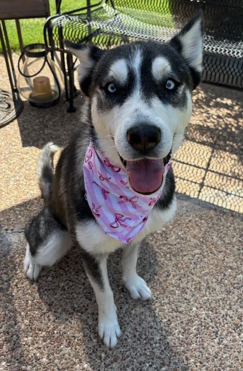 Kira