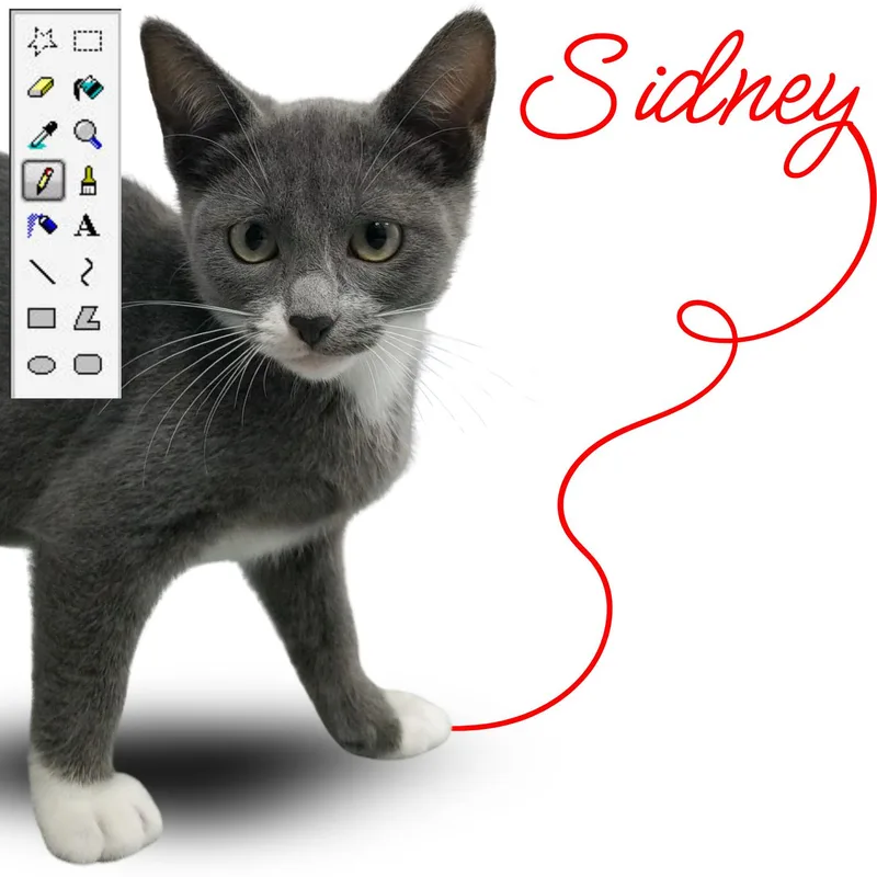 Sidney thumbnail 2