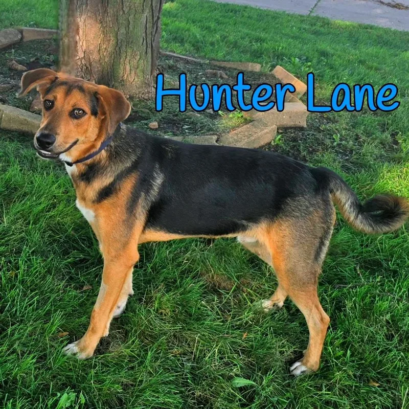 Hunter Lane