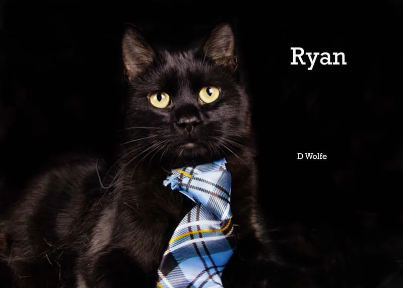 Ryan thumbnail 2