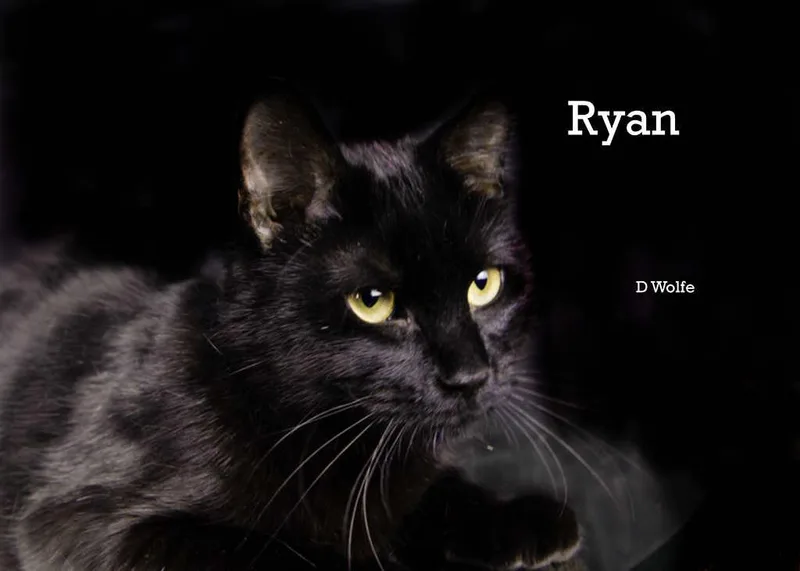 Ryan thumbnail 3
