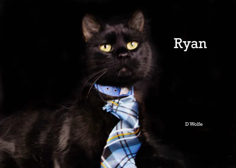 Ryan thumbnail 4