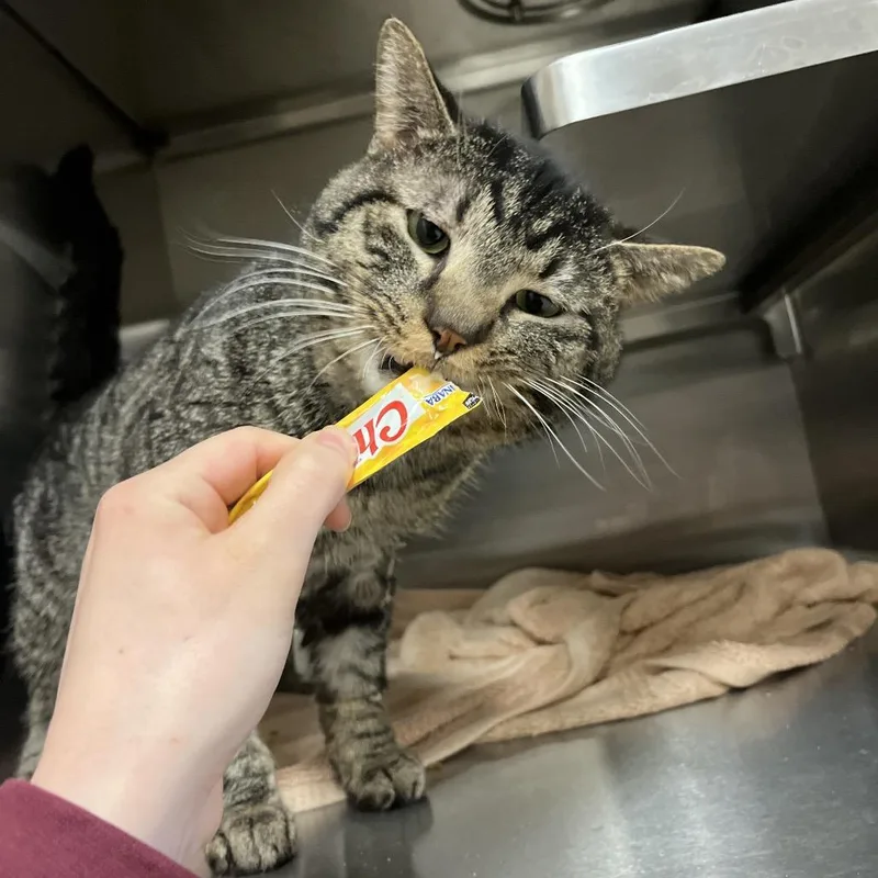 Ted: Visit Me At thumbnail 2