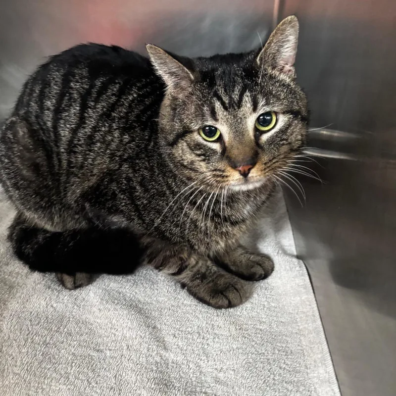 Ted: Visit Me At thumbnail 3