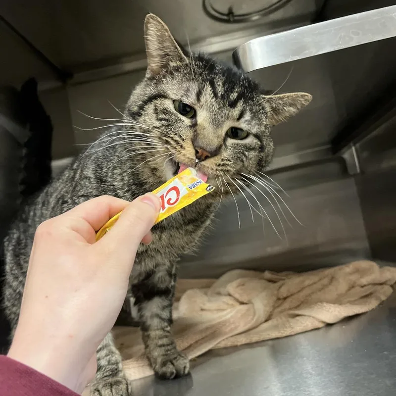 Ted: Visit Me At thumbnail 4