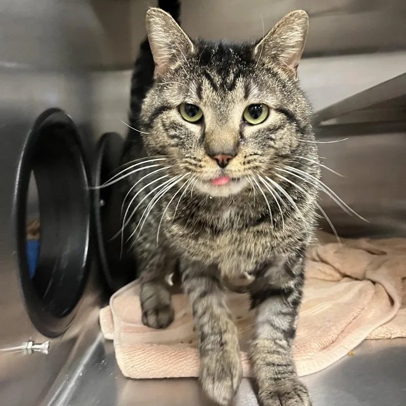 Ted: Visit Me At thumbnail 5