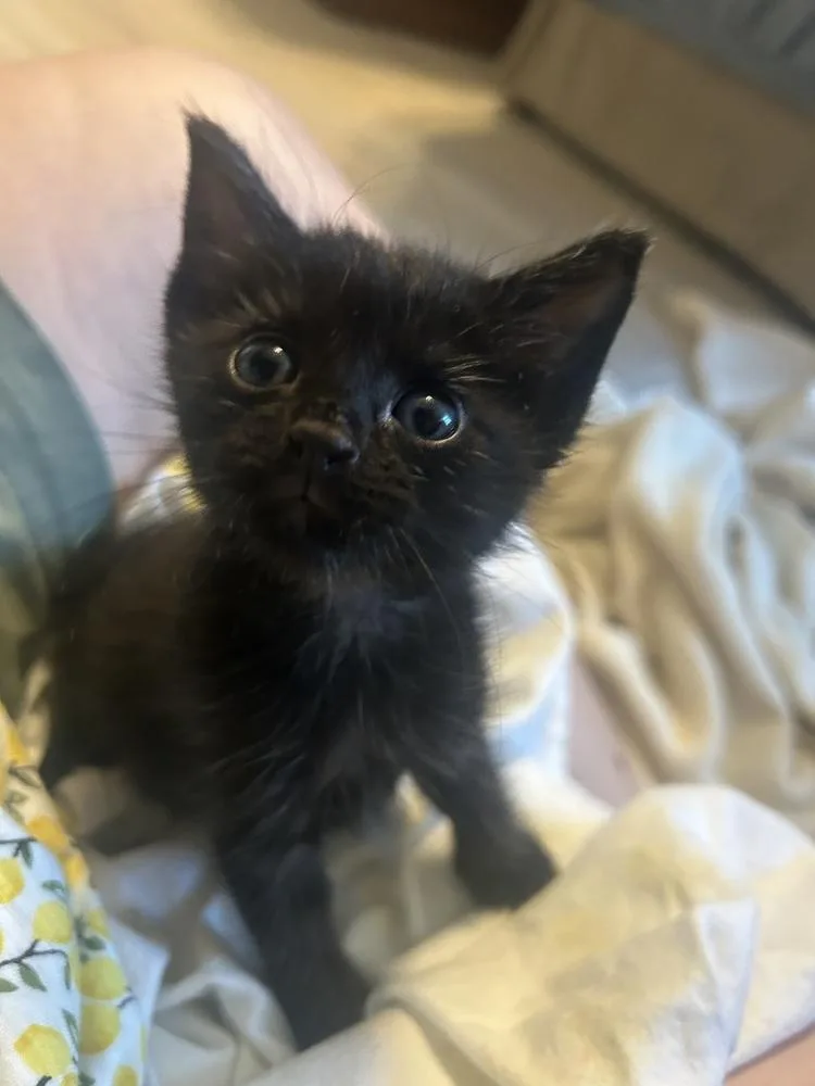Esteban