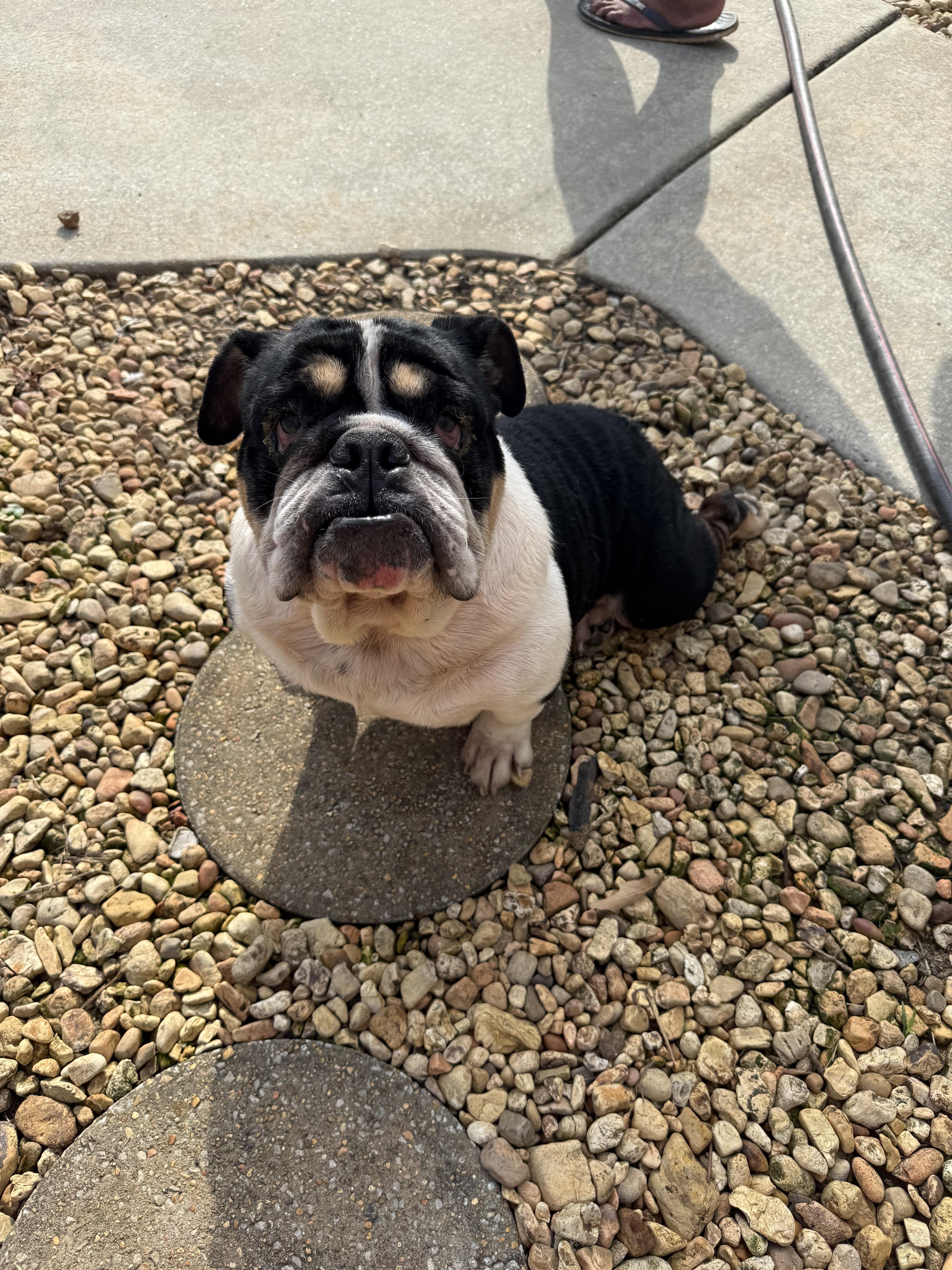 Wilma