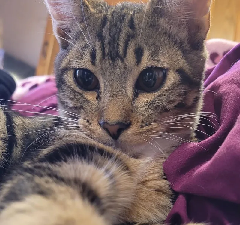 Sabo  The Sweetest thumbnail 3