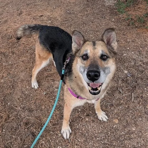 Bella in New Mexico