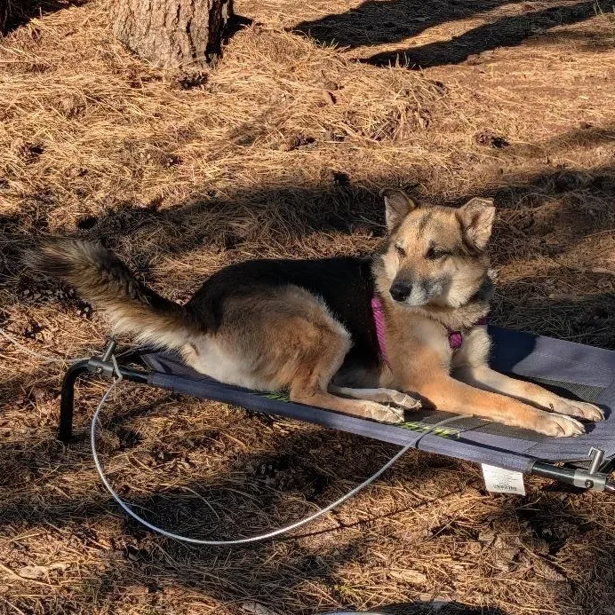 Bella in New Mexico thumbnail 4