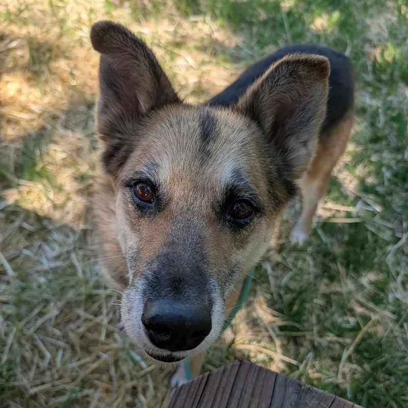 Bella in New Mexico thumbnail 5