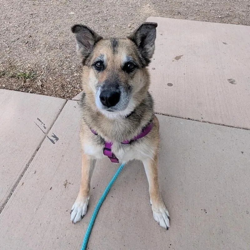 Bella in New Mexico thumbnail 6