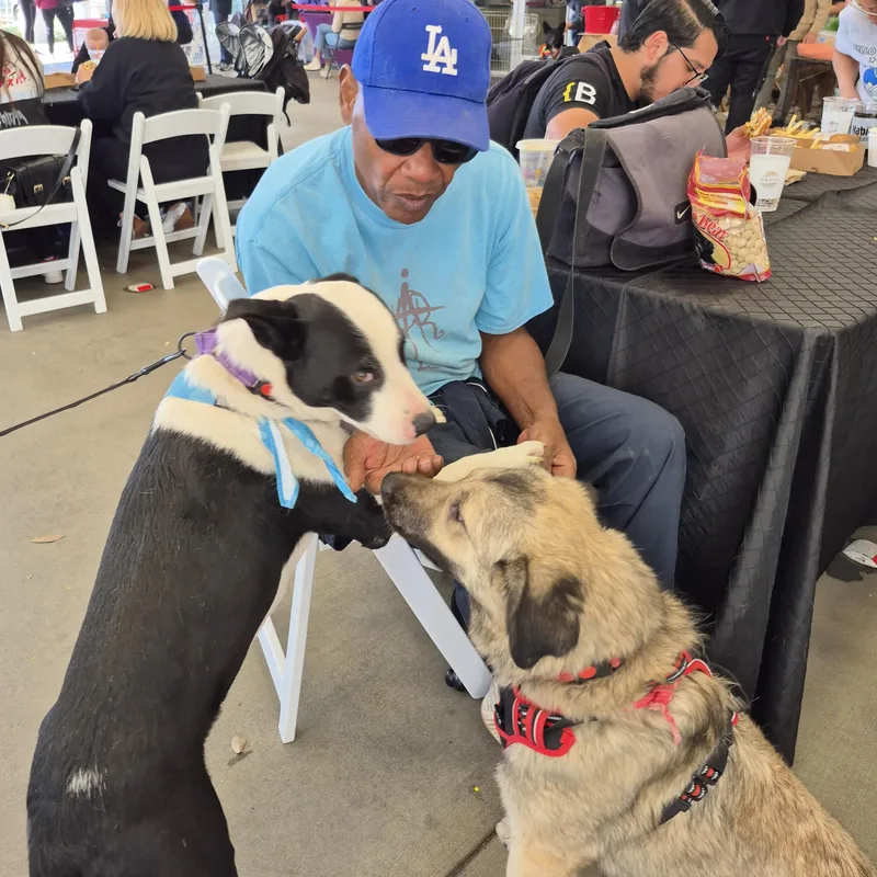 Nana  Mini Anatolian