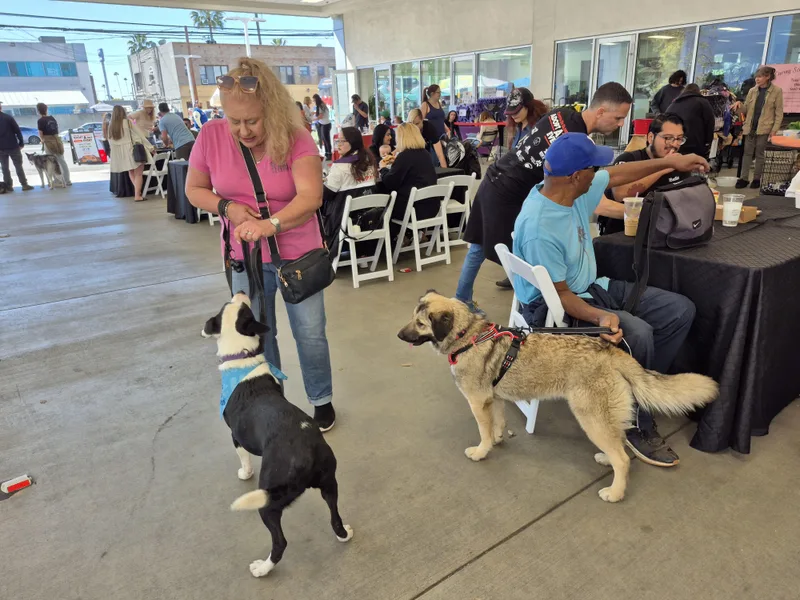 Nana  Mini Anatolian thumbnail 4