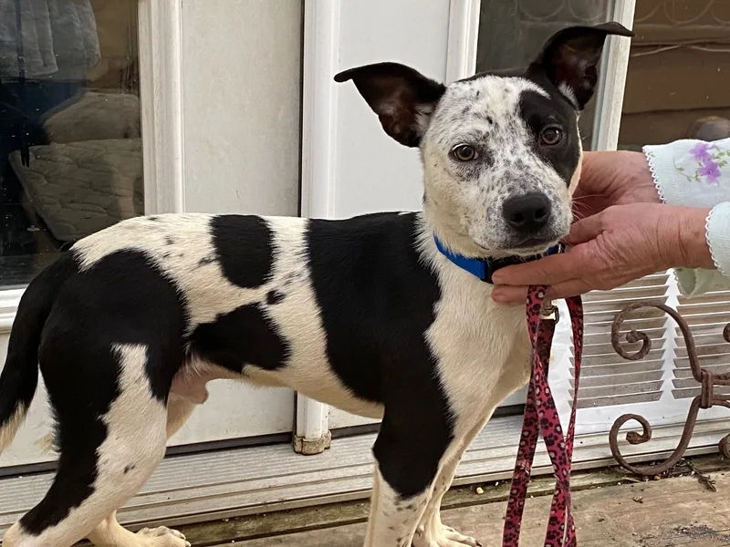 Jimmyjohn thumbnail 2