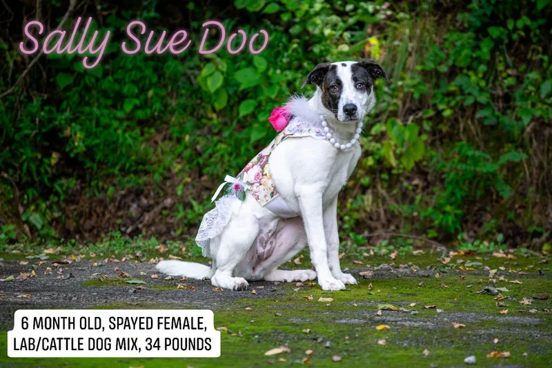Sally Sue Doo thumbnail 2