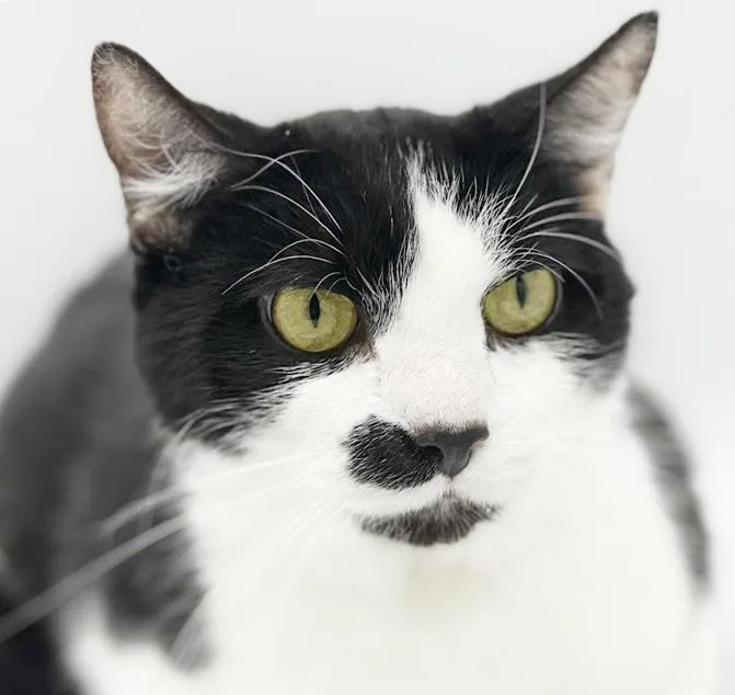 Milo And Bella!  thumbnail 2