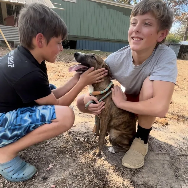 Louisiana thumbnail 2