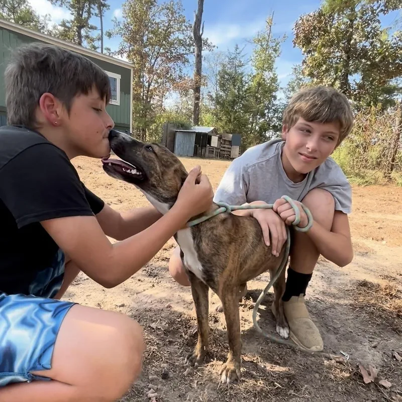 Louisiana thumbnail 3