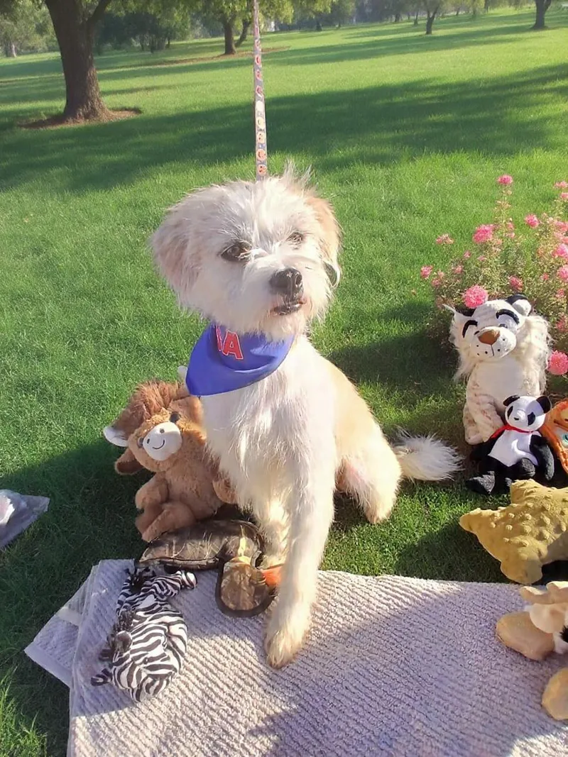 Patricio thumbnail 3