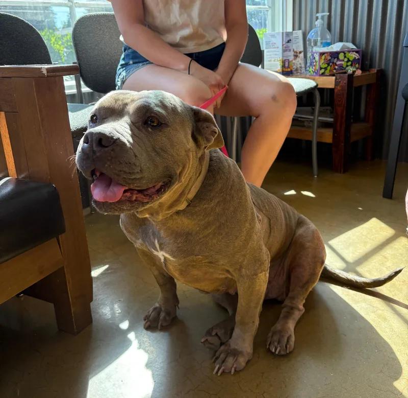 Sweetpea Located in Portland