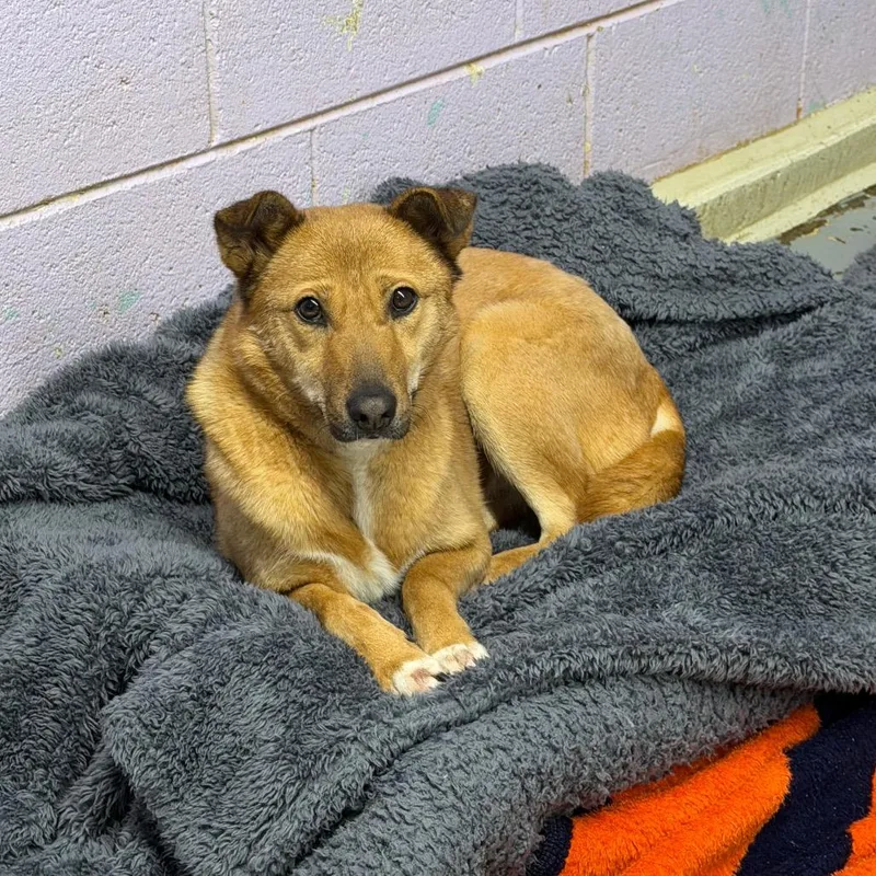 Saetbyul thumbnail 2