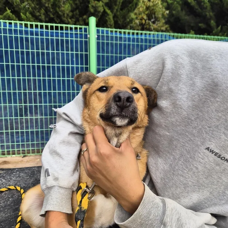 Saetbyul thumbnail 3