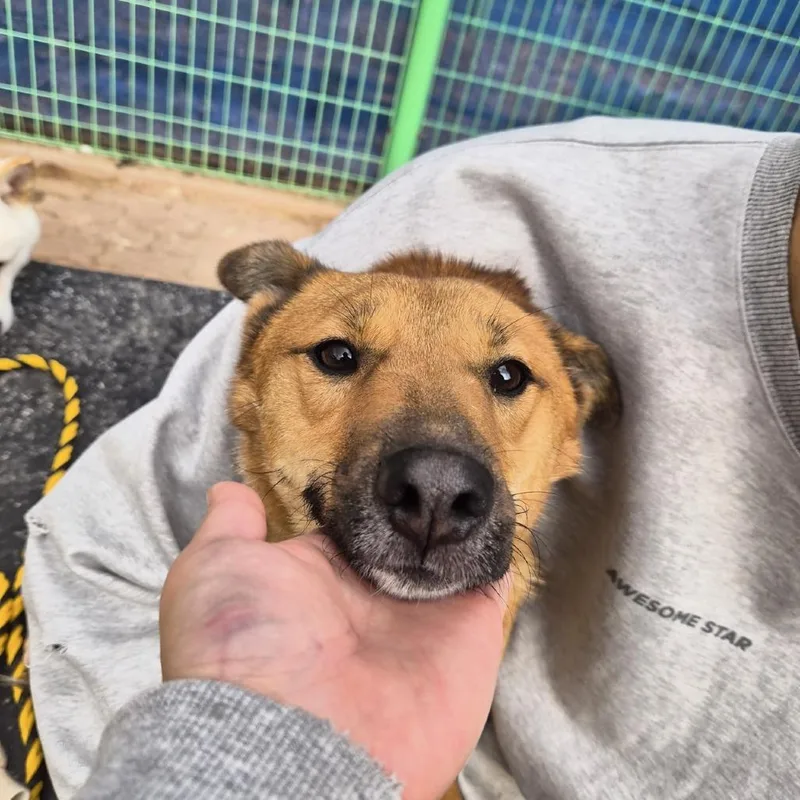 Saetbyul thumbnail 4