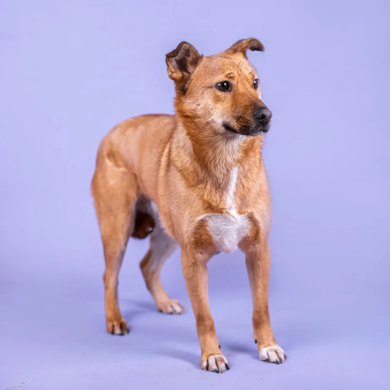 Saetbyul thumbnail 6