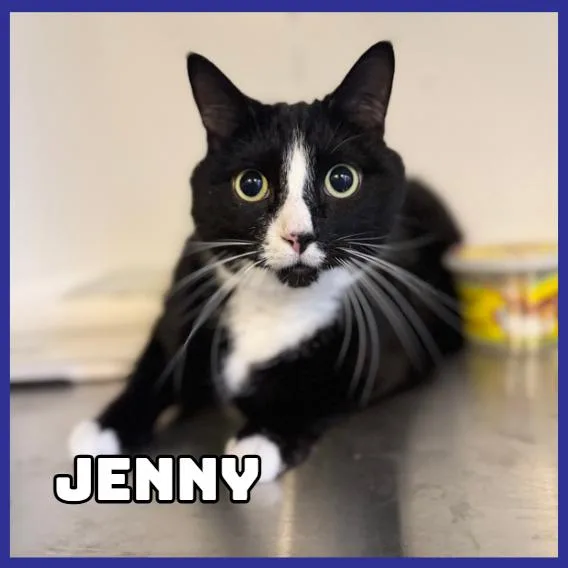 Jenny