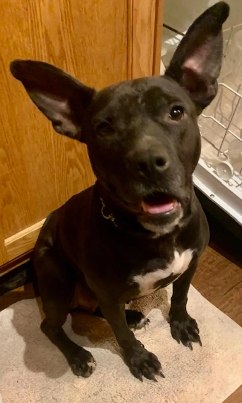 Madeline thumbnail 2