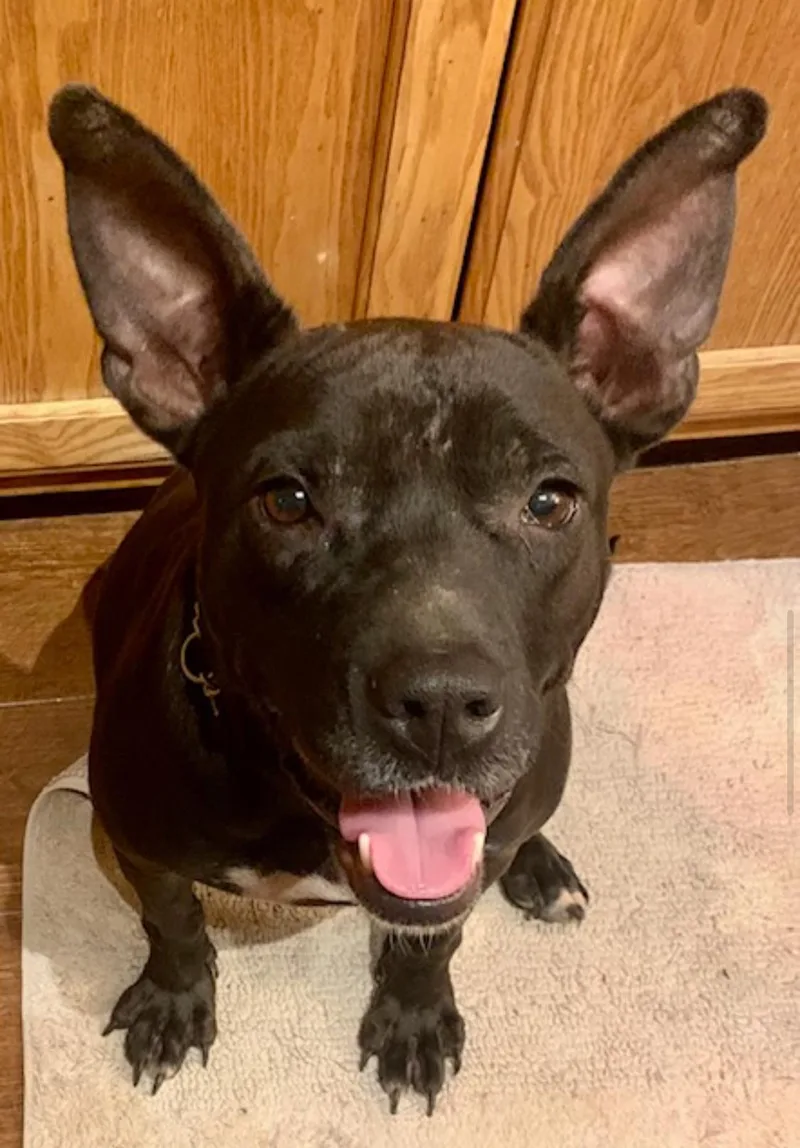 Madeline thumbnail 4