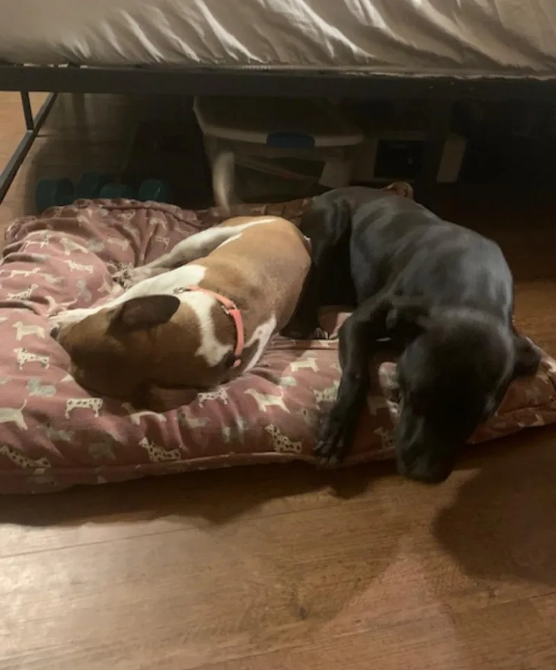 Madeline thumbnail 5