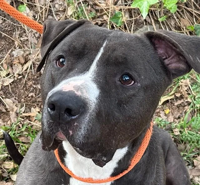 Santiago thumbnail 2