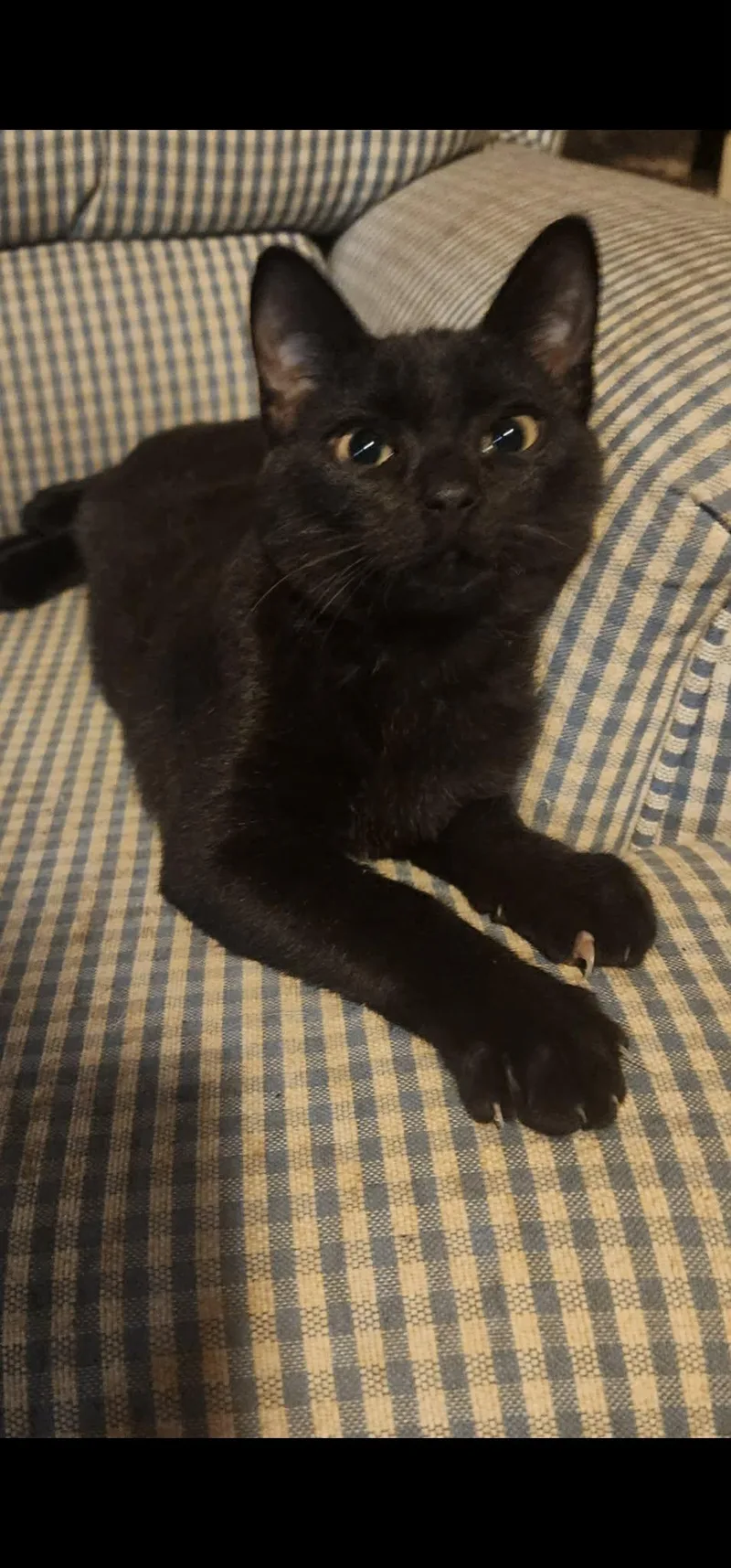 Mayfield thumbnail 2